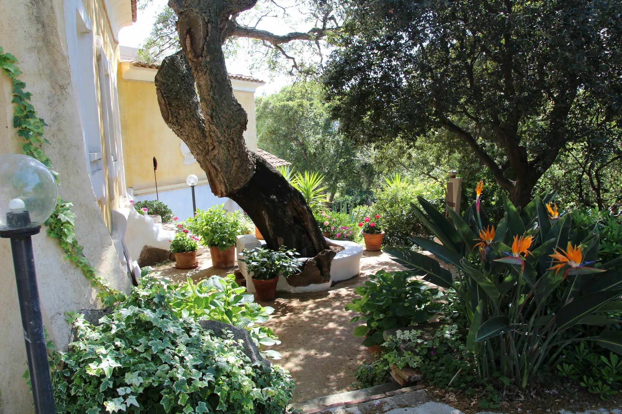 Residenza Di Campagna Seranile Доргали Екстериор снимка